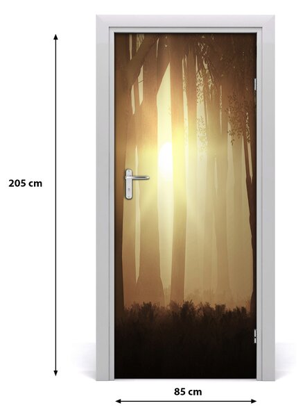 Fototapeta na dvere hmla v lese 85x205 cm