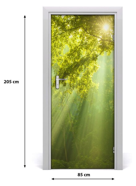 Fototapeta na dvere slnka v lese 85x205 cm