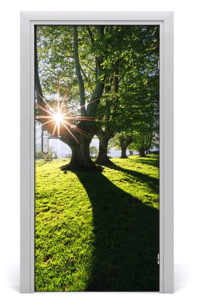 Fototapeta na dvere park 95x205 cm