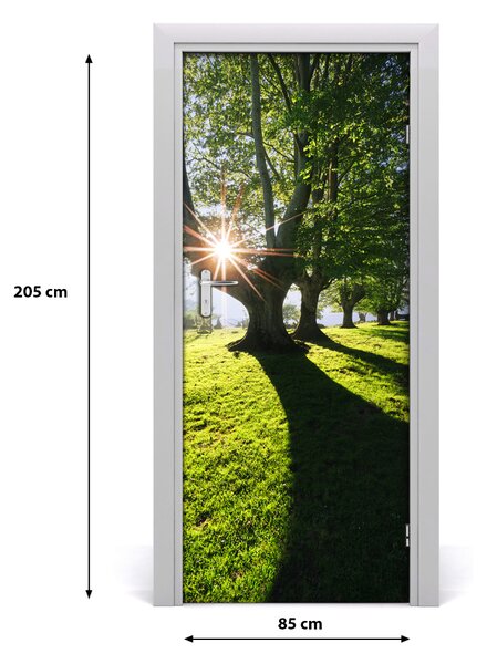 Fototapeta na dvere park 85x205 cm