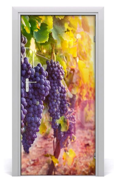 Fototapeta na dvere Vinnici 95x205 cm