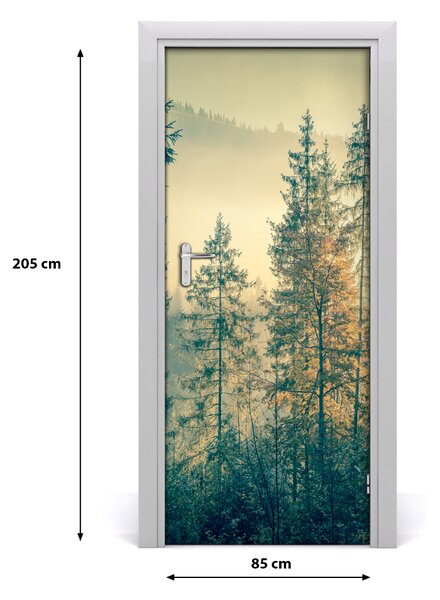 Fototapeta na dvere hmla nad lesom 85x205 cm