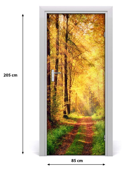 Fototapeta na dvere les jeseň 85x205 cm