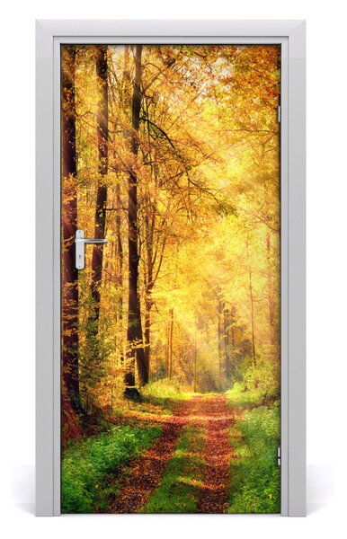 Fototapeta na dvere les jeseň 95x205 cm