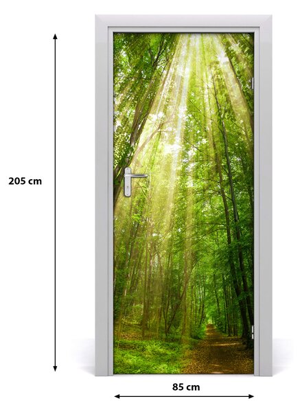 Fototapeta na dvere chodník v lese 85x205 cm