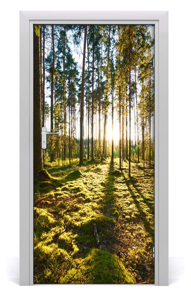 Fototapeta na dvere Sosny les 95x205 cm