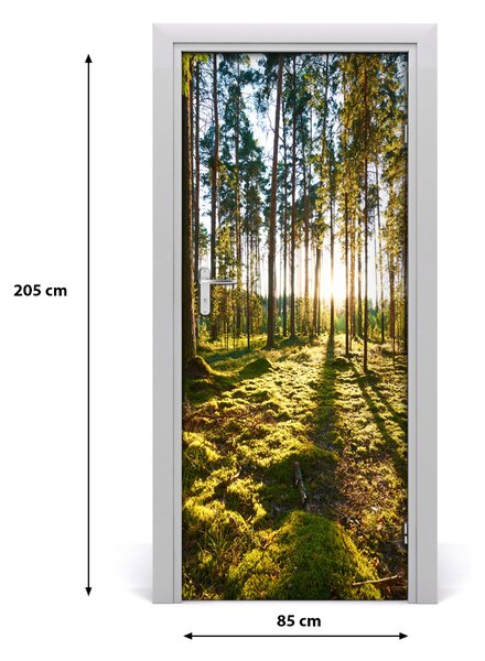 Fototapeta na dvere Sosny les 85x205 cm