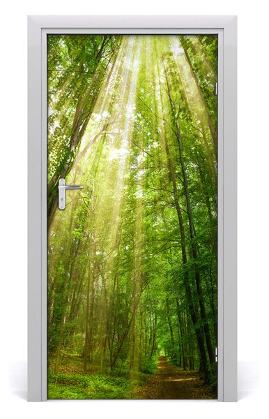 Fototapeta na dvere chodník v lese 95x205 cm
