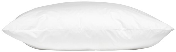 VANKÚŠ POD HLAVU, 80/80 cm - Prikrývky & vankúše, Online Only