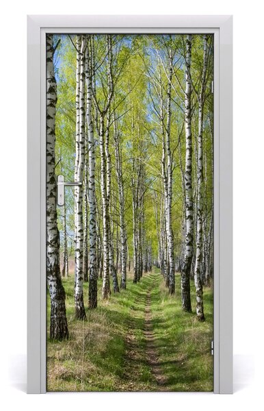 Fototapeta na dvere samolepiace Břízová les 95x205 cm
