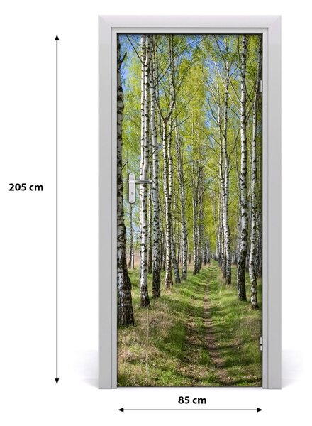 Fototapeta na dvere samolepiace Břízová les 85x205 cm