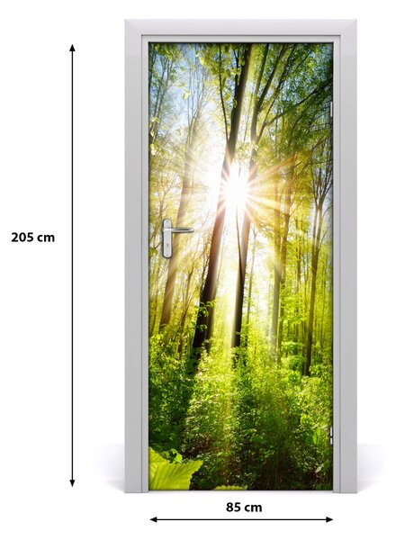 Fototapeta na dvere samolepiace slnka v lese 85x205 cm