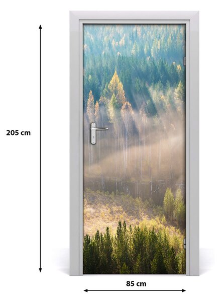 Fototapeta na dvere samolepiace hmla nad lesom 85x205 cm