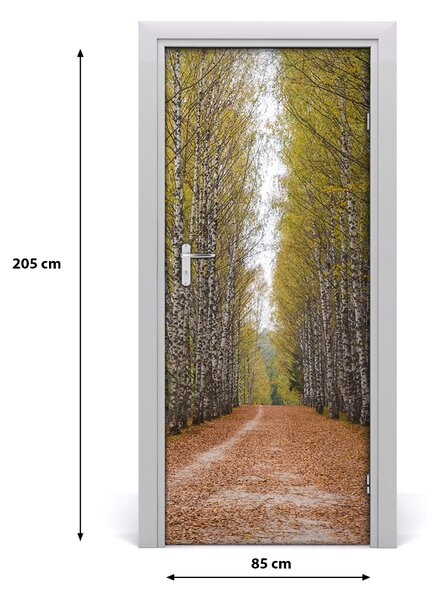 Fototapeta na dvere samolepiace Břízová les 85x205 cm