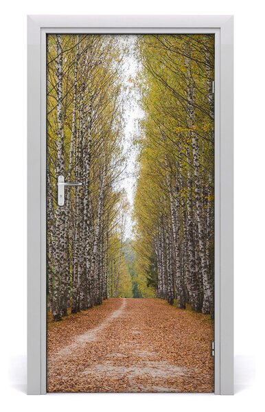 Fototapeta na dvere samolepiace Břízová les 95x205 cm