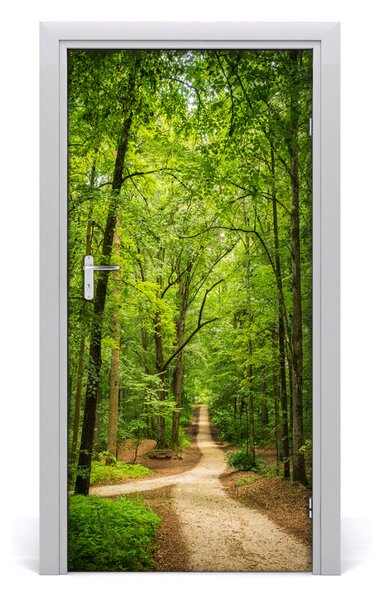 Fototapeta na dvere samolepiace chodník v lese 95x205 cm
