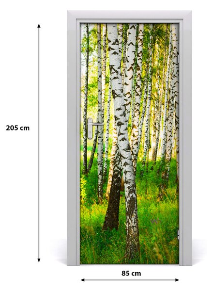 Fototapeta na dvere samolepiace Břízová les 85x205 cm
