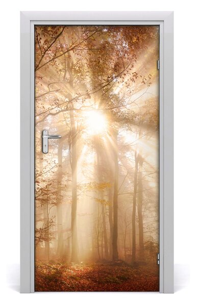 Fototapeta na dvere samolepiace les jeseň 95x205 cm