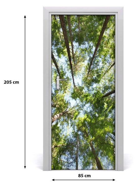Fototapeta na dvere samolepiace koruna stromov 85x205 cm