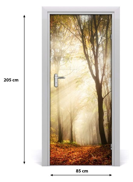 Fototapeta na dvere samolepiace les jeseň 85x205 cm