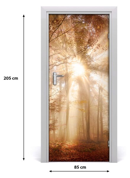 Fototapeta na dvere samolepiace les jeseň 85x205 cm