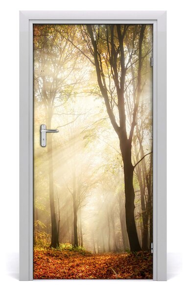 Fototapeta na dvere samolepiace les jeseň 95x205 cm