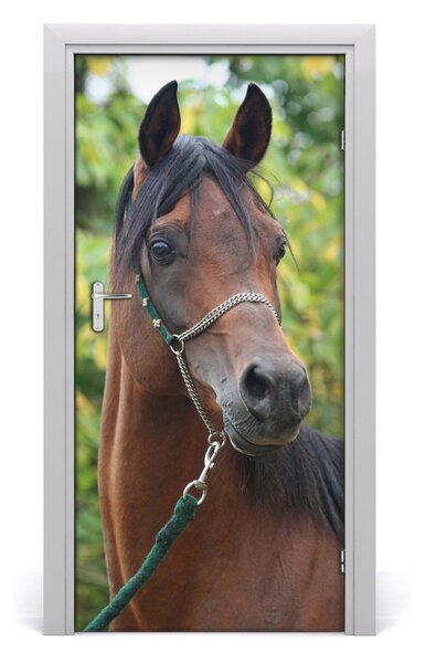 Samolepiace fototapety na dvere kôň portrét 95x205 cm