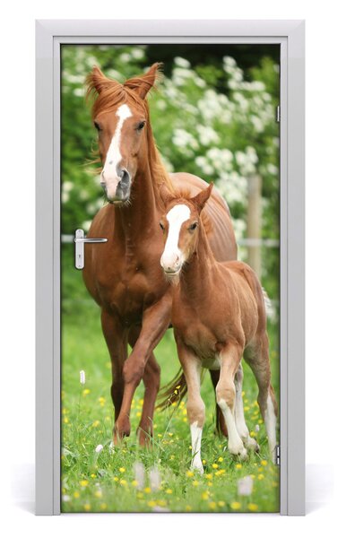 Samolepiace fototapety na dvere kobyla žrebec 95x205 cm