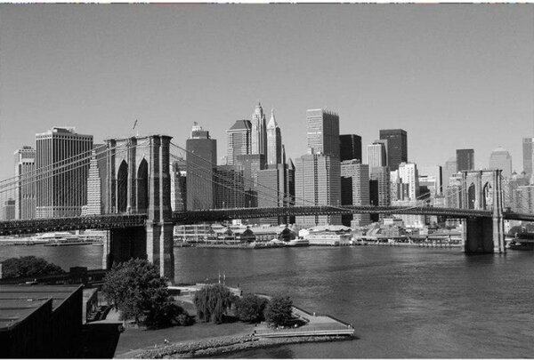 DIMEX | Vliesové fototapety na stenu Manhattan v šedej farbe MS-5-0010 | 375 x 250 cm | čiernobiela