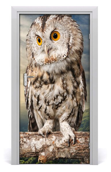 Samolepiace fototapety na dvere Sova na kopci 95x205 cm