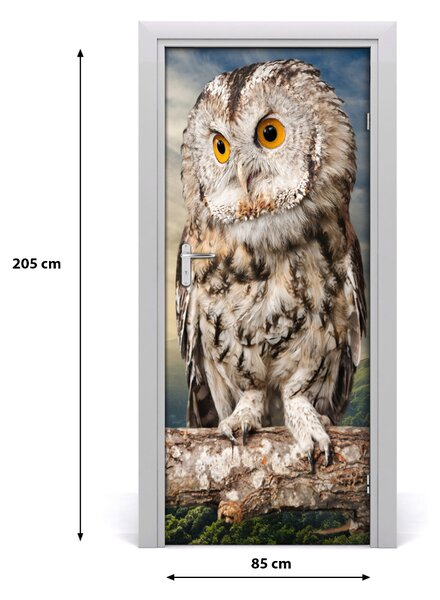 Samolepiace fototapety na dvere Sova na kopci 85x205 cm