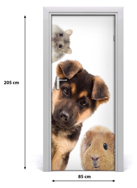 Samolepiace fototapety na dvere domáce zvieratá 85x205 cm