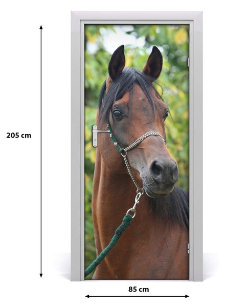 Samolepiace fototapety na dvere kôň portrét 85x205 cm