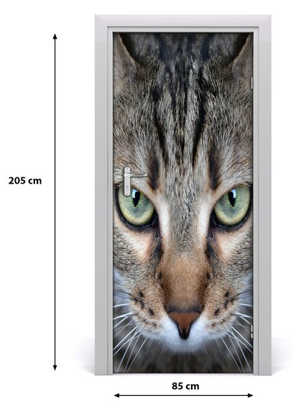 Samolepiace fototapety na dvere oči mačky 85x205 cm