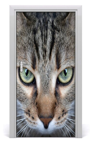 Samolepiace fototapety na dvere oči mačky 95x205 cm