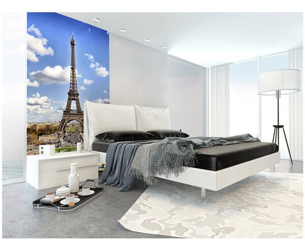 DIMEX | Vliesové fototapety na stenu Paríž MS-2-0025 | 150 x 250 cm | modrá, šedá, biela, zelená