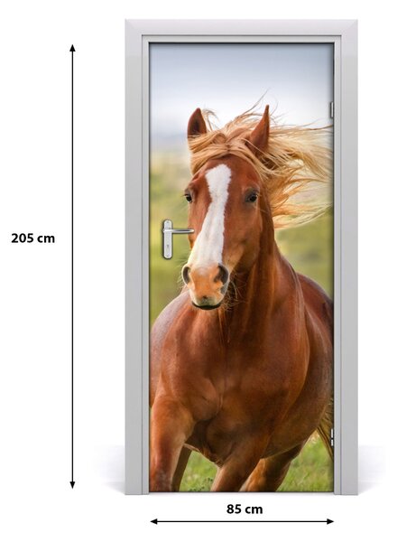 Samolepiace fototapety na dvere Kôň v cvale 85x205 cm
