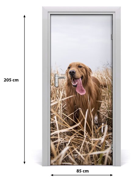 Samolepiace fototapety na dvere golden retriever 85x205 cm