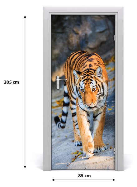 Samolepiace fototapety na dvere tiger 85x205 cm