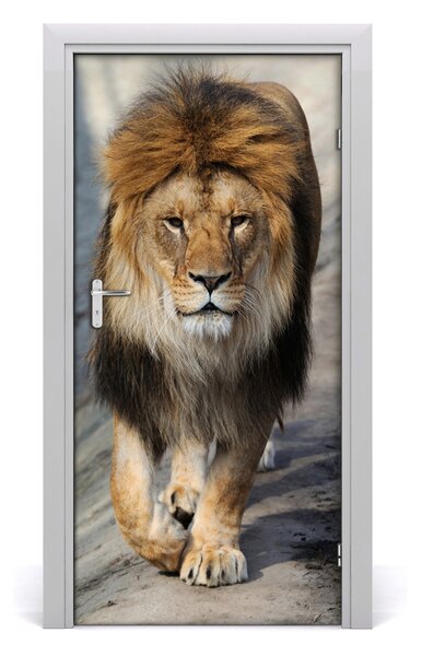 Samolepiace fototapety na dvere Lev portrét 95x205 cm