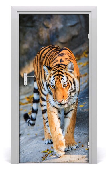 Samolepiace fototapety na dvere tiger 95x205 cm