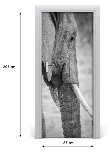 Samolepiace fototapety na dvere slon 85x205 cm