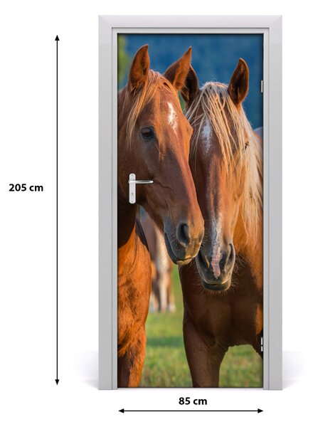 Samolepiace fototapety na dvere dva kone 85x205 cm