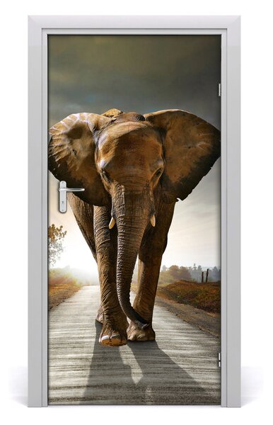 Samolepiace fototapety na dvere chodiaci slon 95x205 cm