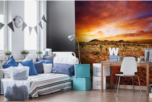 DIMEX | Vliesová fototapeta na stenu Austrália MS-3-0050 | 225 x 250 cm | oranžová, žltá, hnedá, zelená