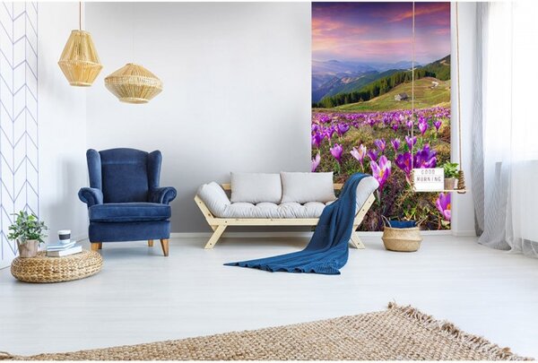 DIMEX | Vliesové fototapety na stenu Krókusy na jar MS-2-0064 | 150 x 250 cm | viacfarebná