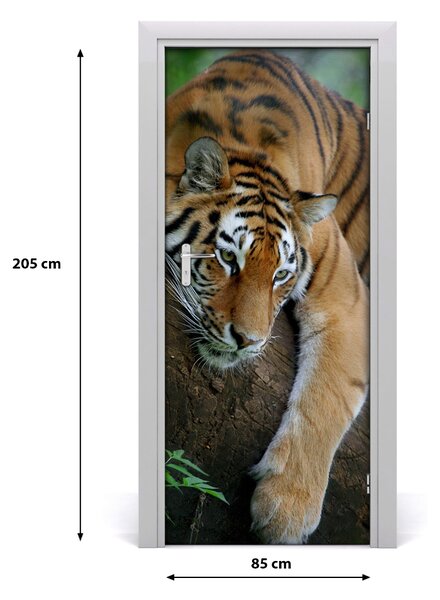 Samolepiace fototapety na dvere tiger na strome 85x205 cm