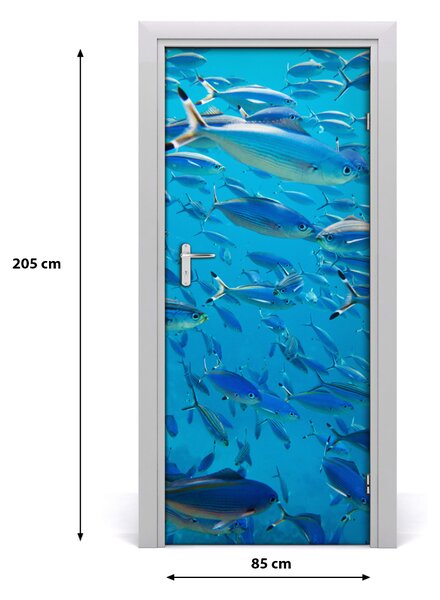 Samolepiace fototapety na dvere koralové ryby 85x205 cm