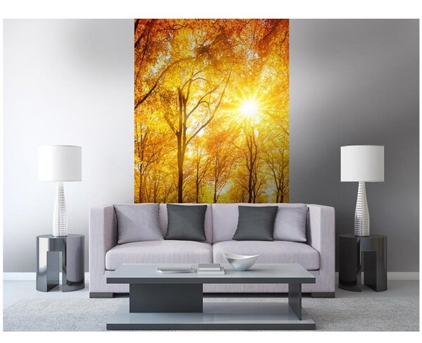 DIMEX | Vliesové fototapety na stenu Slnečný les MS-2-0067 | 150 x 250 cm | žltá, oranžová, zelená