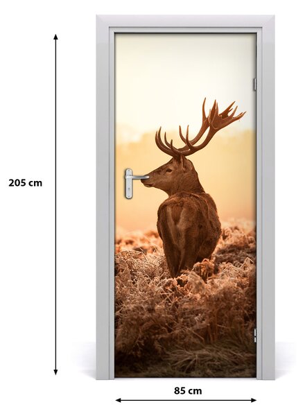 Samolepiace fototapety na dvere jeleň východ 85x205 cm